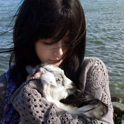 湿地雏鹰